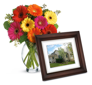 frameflowers